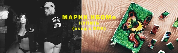 стафф Алексин