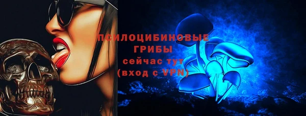 ГАЛЛЮЦИНОГЕННЫЕ ГРИБЫ Алзамай