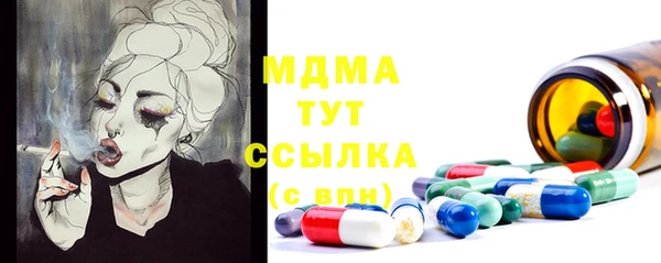 ГАЛЛЮЦИНОГЕННЫЕ ГРИБЫ Алзамай