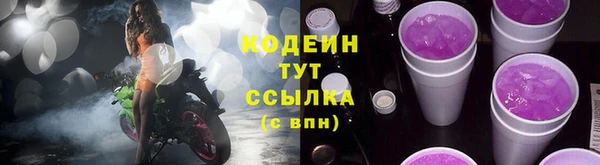 ГАЛЛЮЦИНОГЕННЫЕ ГРИБЫ Алзамай